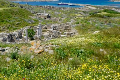 Delos Tours